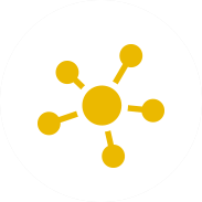 connections icon